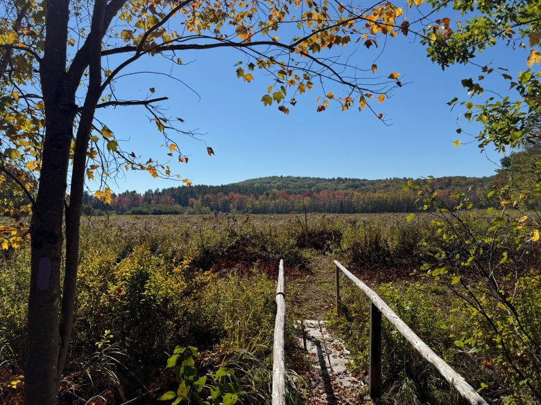 An autumn meadow at Thorncrag Nature Sanctuary in Lewiston, with a wooden footbridge leading toward wooded hills under a clear blue sky