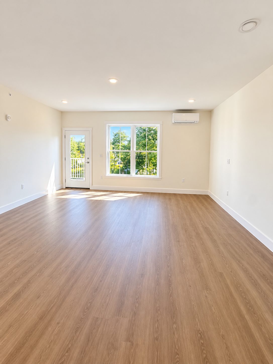 A bright, empty living room in a GALE residence with a double-hung window, a glass door opening onto the porch, a ductless mini-split, and wood-look plank floors